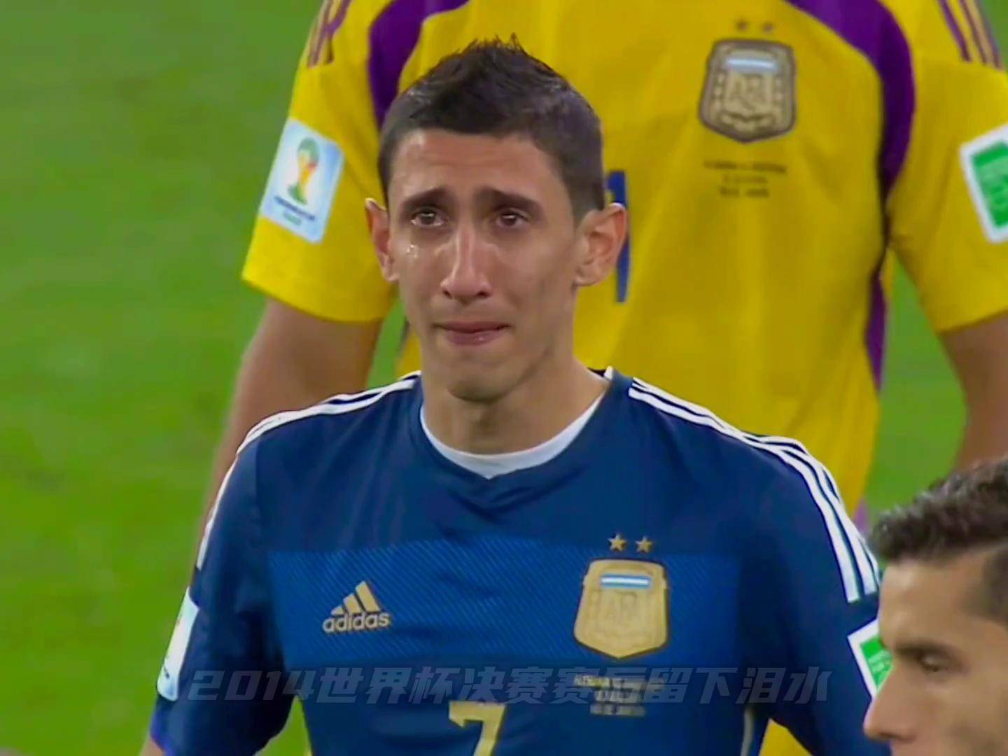 2014 World Cup Champion (Which country won the 2014 World Cup)